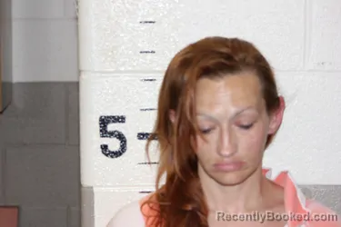 Mugshot of MEGAN DOWSON booked in Schuyler County, Illinois on April 14, 2026