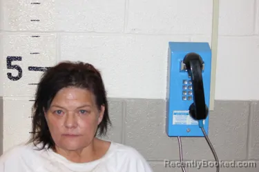 Mugshot of DIANNA DAVIDSON booked in Schuyler County, Illinois on April 22, 2026