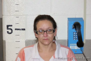 Mugshot of ELIZABETH COULTER booked in Schuyler County, Illinois on June 3, 2026