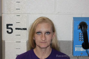 Mugshot of NATASHA SAXBURY booked in Schuyler County, Illinois on July 1, 2026