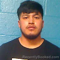 Mugshot of SELVIN AMBROCIO booked in Halifax County, North Carolina on June 29, 2026