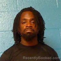 Mugshot of Tyrell Nigel Brown booked in Halifax County, North Carolina on August 11, 2026