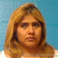 Mugshot of ELIZABETH GOMEZ CHIRRA booked in Halifax County, North Carolina on June 7, 2026