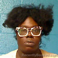 Mugshot of ASHLEY DENISE EVERETT booked in Halifax County, North Carolina on July 6, 2026