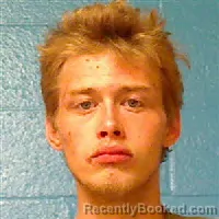 Mugshot of BRANDON LEE EVANS