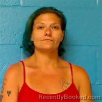 Mugshot of Brandi Nicole Fairbee booked in Halifax County, North Carolina on August 12, 2026