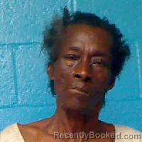 Mugshot of GLORIA JEAN FOX booked in Halifax County, North Carolina on June 24, 2026