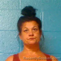 Mugshot of Kimberly Dawn Harrah booked in Halifax County, North Carolina on August 5, 2026
