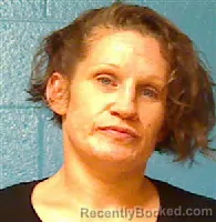 Mugshot of Leanne Elizabeth Hayes booked in Halifax County, North Carolina on September 20, 2026