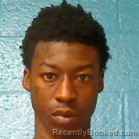 Mugshot of MARION RANDOLPH HODGE booked in Halifax County, North Carolina on April 2, 2026