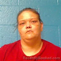 Mugshot of SHEENA LEIGH HEDGEPETH booked in Halifax County, North Carolina on June 12, 2026