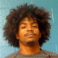 Mugshot of Damian Tyreke Johnson booked in Halifax County, North Carolina on August 4, 2026