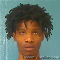 Mugshot of KANEZ NI'KE JOHNSON booked in Halifax County, North Carolina on April 27, 2026