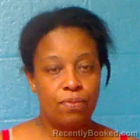 Mugshot of Shantae Minnie Johnson booked in Halifax County, North Carolina on August 18, 2026