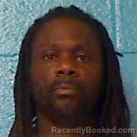 Mugshot of TIERRA ANDREW TYREE JORDAN