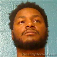 Mugshot of JAMISON JELONTE LEE booked in Halifax County, North Carolina on July 13, 2026