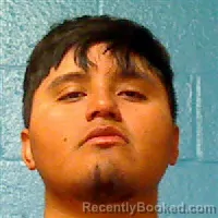 Mugshot of JULIO MEDRINO MARTINEZ