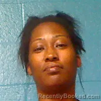 Mugshot of Martina P Mcwilliams booked in Halifax County, North Carolina on August 19, 2026