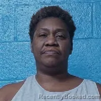 Mugshot of Nyeta Danyell Mcguire booked in Halifax County, North Carolina on October 4, 2026