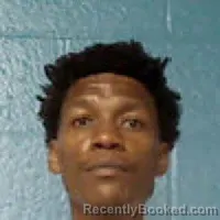 Mugshot of ANTHONY EUGENE PLESS