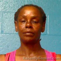 Mugshot of RHONDA POWELL booked in Halifax County, North Carolina on July 21, 2026