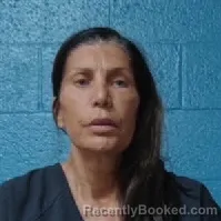 Mugshot of Vivian Pompliano booked in Halifax County, North Carolina on October 7, 2026