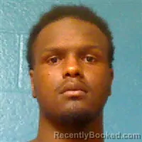 Mugshot of Y'motti Ar'marion Powell booked in Halifax County, North Carolina on August 18, 2026