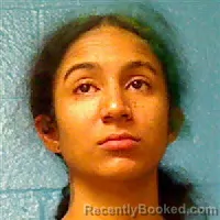 Mugshot of ALAINA NICOLE RICHARDSON
