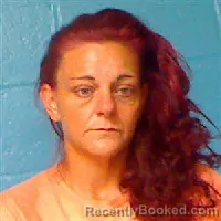 Mugshot of AMBER LEE RYCHWALSKI booked in Halifax County, North Carolina on June 24, 2026