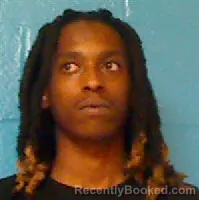 Mugshot of Clifton Danielle Richardson booked in Halifax County, North Carolina on August 23, 2026