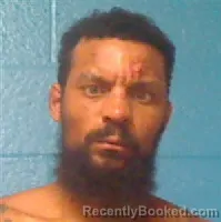 Mugshot of CAMERON THOMAS TOWNES booked in Halifax County, North Carolina on May 30, 2026