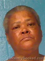 Mugshot of CHINITA MAIRE WILLIAMS booked in Halifax County, North Carolina on June 6, 2026