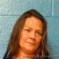 Mugshot of MICHELLE LYNN WILLIAMS