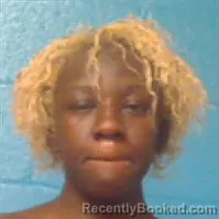 Mugshot of RANEAKA ZY'NAE WILLIAMS booked in Halifax County, North Carolina on April 26, 2026