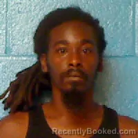 Mugshot of RAKINO JUQONTA WHITAKER booked in Halifax County, North Carolina on August 1, 2026