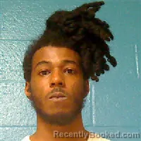 Mugshot of TY'MAREE SHYMIER WILLIAMS