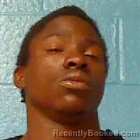 Mugshot of TYREES NATHANIEL WILLIAMS