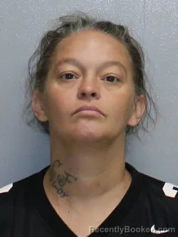 Mugshot of CHRYSTAL FRANCINE HAAS booked in Stephenson County, Illinois on August 1, 2026