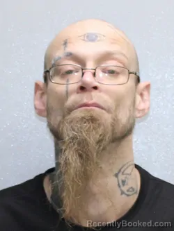 Mugshot of DAVID L KNUTTI