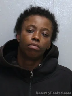 Booking photo from Stephenson County, Illinois