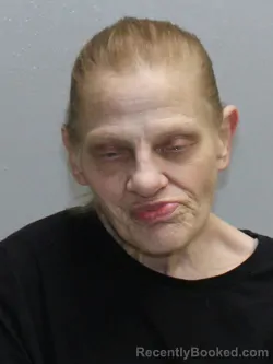 Mugshot of LARISSA LOUISE NICKEL