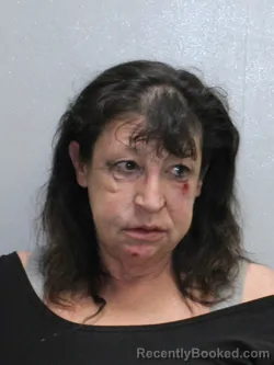 Mugshot of RACHAEL ANN SIMONSMEIER booked in Stephenson County, Illinois on April 5, 2026