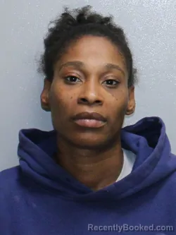 Mugshot of Laveda Marie Dennis booked in Stephenson County, Illinois on October 2, 2026