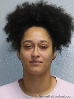 Mugshot of Tamara Lee Williams booked in Stephenson County, Illinois on September 15, 2026