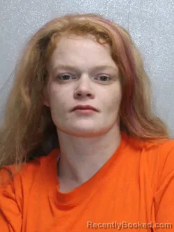 Mugshot of ALISHA R OTT