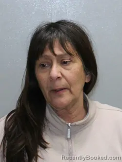 Mugshot of JENNIFER LYNN BAIER booked in Stephenson County, Illinois on April 3, 2026