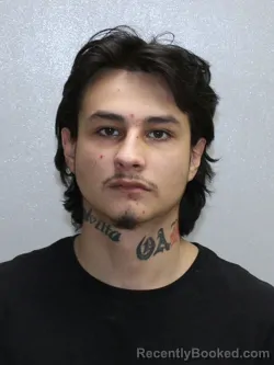 Mugshot of JADYN ALEC RAMOS ULINE
