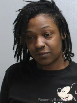 Mugshot of NETTIE MIRACLE MARIE READUS