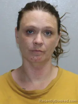 Mugshot of MONIQUE MARIE BRINKMEIER booked in Stephenson County, Illinois on July 8, 2026