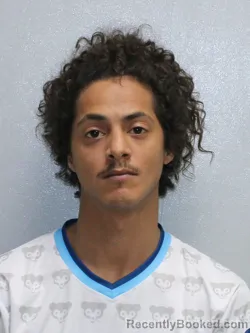 Mugshot of MASON RILEY TOELKE booked in Stephenson County, Illinois on March 30, 2026